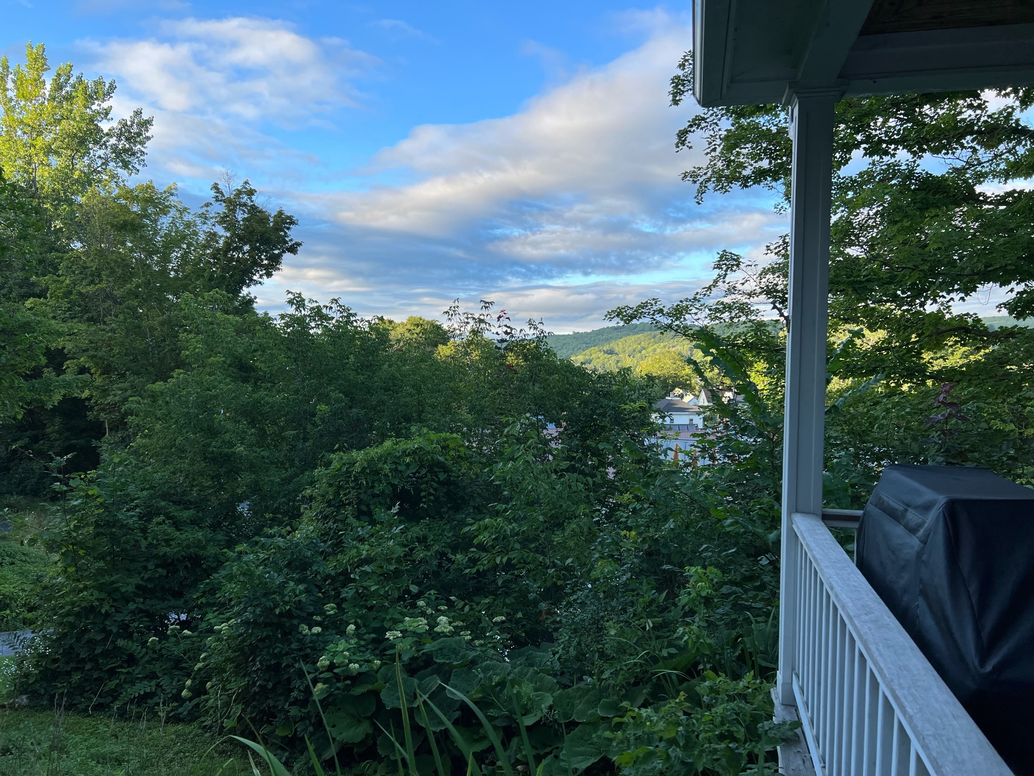 Image of a Vermont view from a Downstreet house